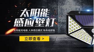 北宁海狼大胜取悦球迷，士气高昂！的简单介绍